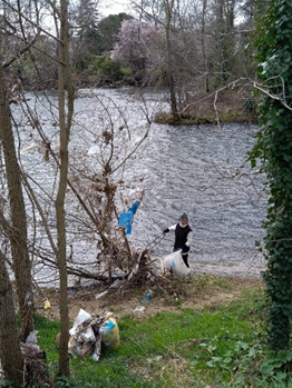 Description de l'image