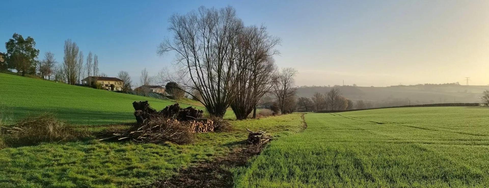 Travaux de gestion de la ripisylve dans le Val d'Ariège