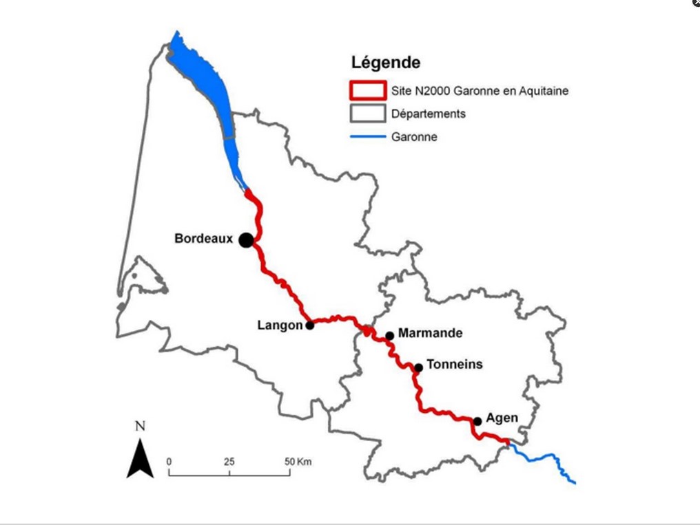 Description de l'image