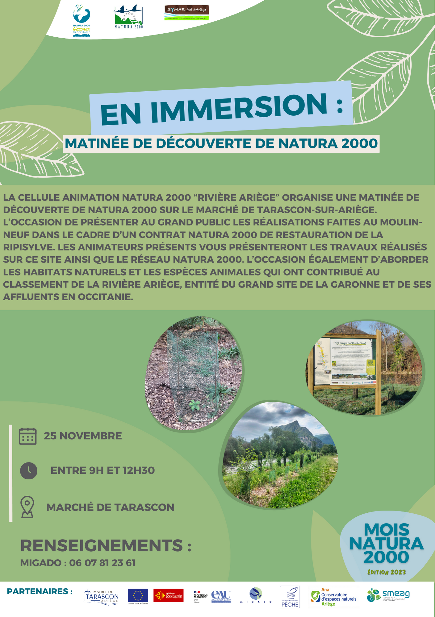 Description de l'image