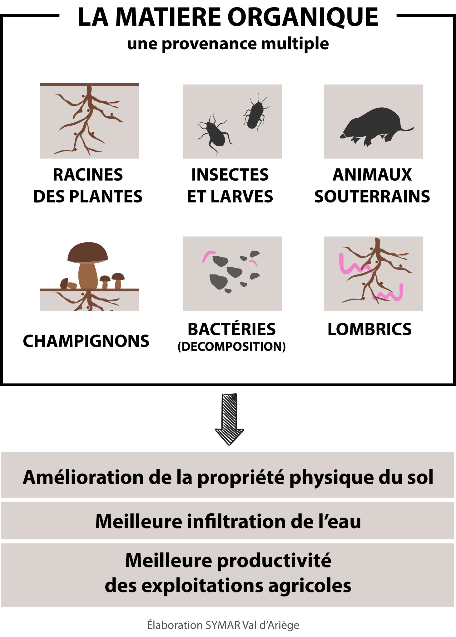 dessin de matiere organique