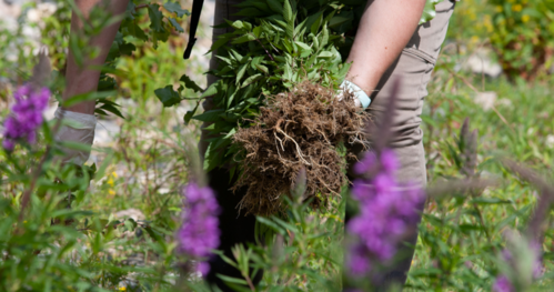 LES ACTIONS DU MOIS NATURA 2000