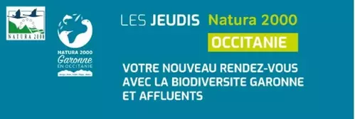 34ème Jeudi  Natura 2000 : La Garonne, un écosystème protégé et géré à de nombreux échelons