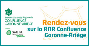 RENDEZ-VOUS DE L'ETE SUR LA RNR CONFLUENCE GARONNE-ARIEGE